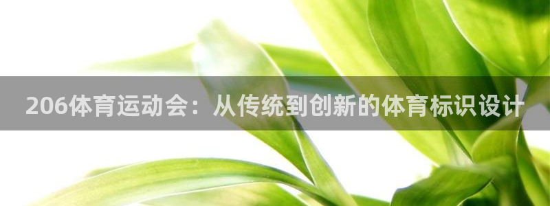 绿茵nba直播在线观看：206体育运动会：从传统到创新的体育标识设计