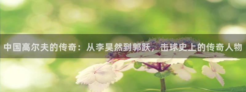绿茵足球