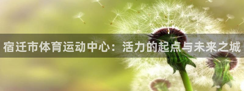 绿茵体育官网入口
