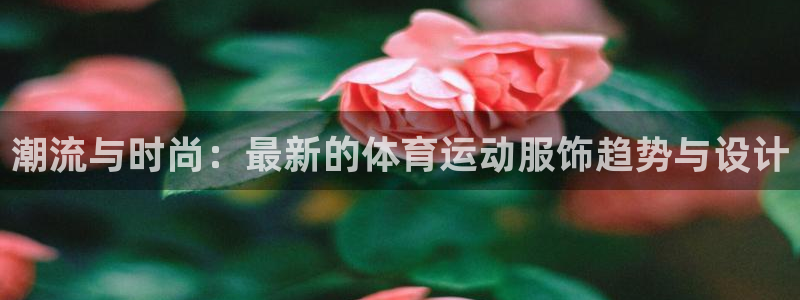 绿茵体育