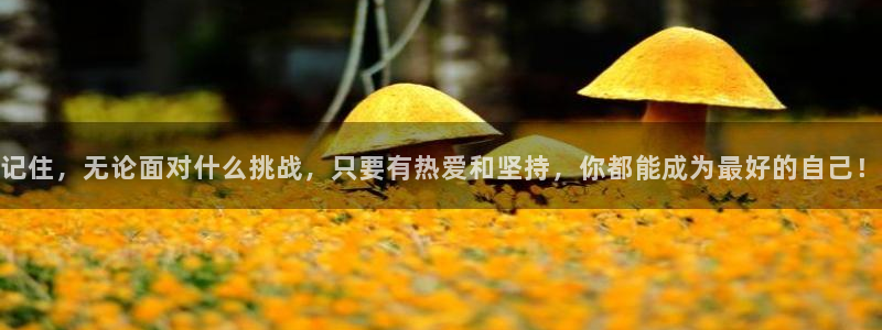 绿茵足球直播