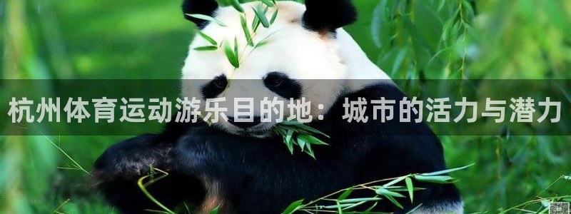 绿茵nba直播在线观看