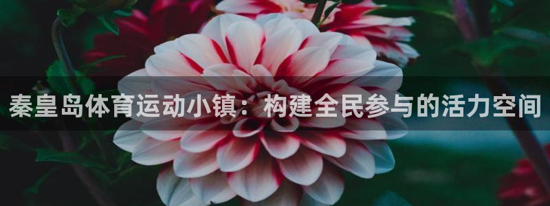 天津绿茵体育公司：秦皇岛体育运动小镇：构建全民参与的活力空间