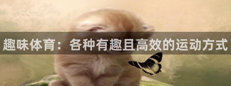 绿茵体育官网入口：趣味体育：各种有趣且高效的运动方式
